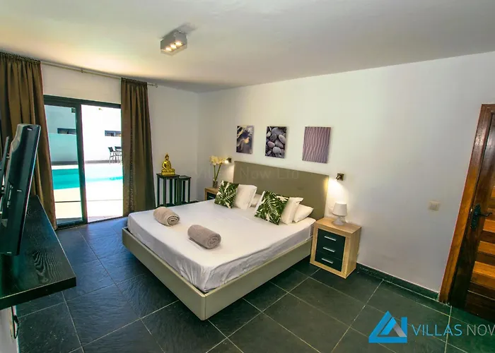 229 - Lanson By Now Ltd